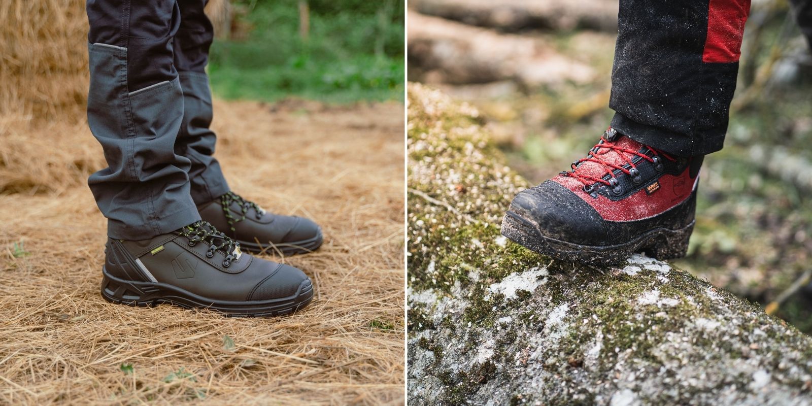 risques de l'environnement